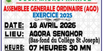 Assemblée Générale Ordinaire (AGO) – Exercice 2025